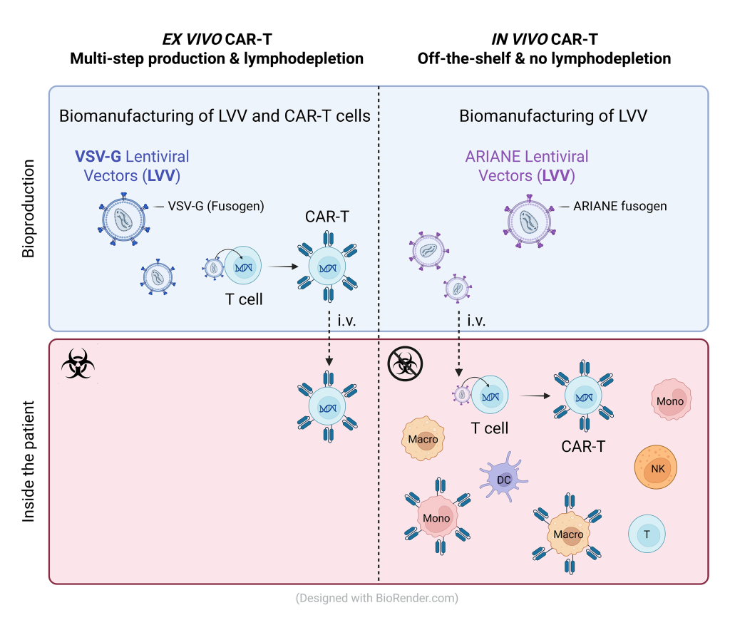 ex vivo vs in vivo CAR T