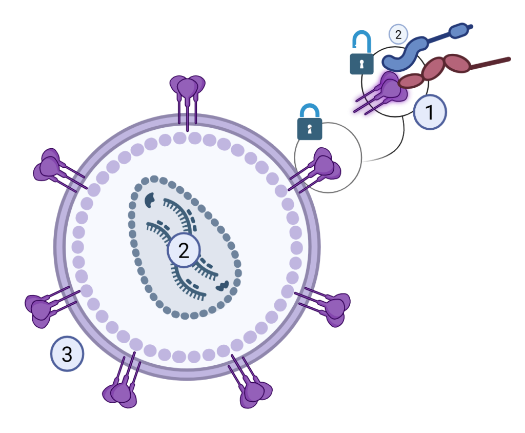 The Ariane platform Thesain bio